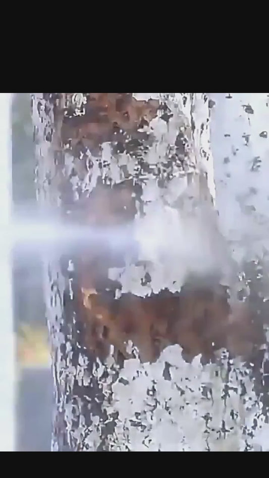 Pistola de agua alta presión Inalámbrica